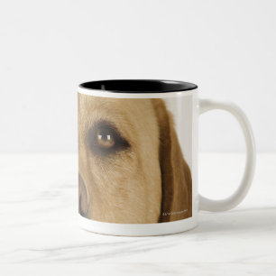 Golden Labrador Retriever (Canis familiaris). Two-Tone Coffee Mug