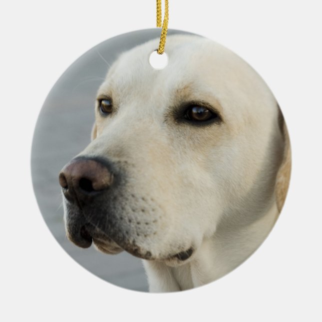 Golden Labrador Retriever Photograph Ceramic Tree Decoration (Front)