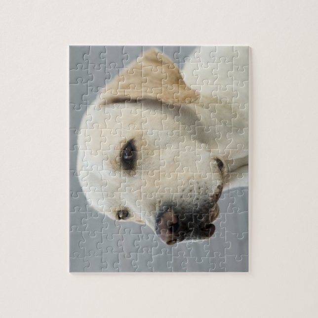 Golden Labrador Retriever Photograph Jigsaw Puzzle (Vertical)
