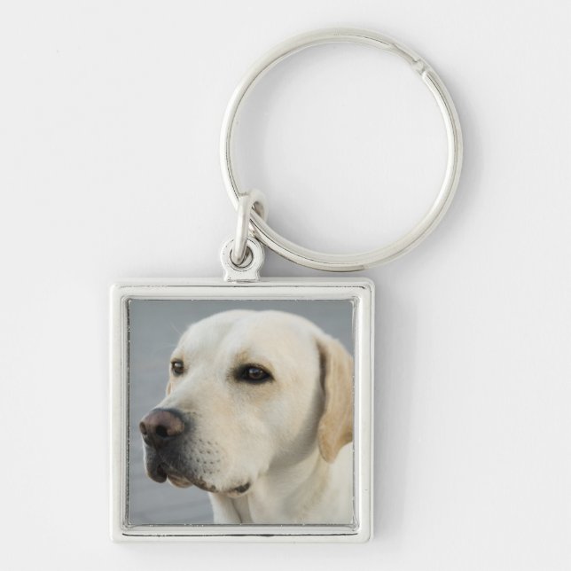 Golden Labrador Retriever Photograph Key Ring (Front)