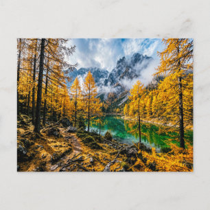 Golden larch forest by mountain lake postcard