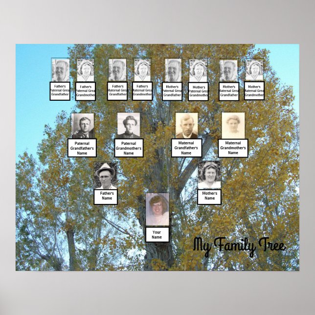 Golden Leaf Photo Family Tree 4 Generation Poster (Front)