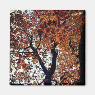Golden leaves magnet