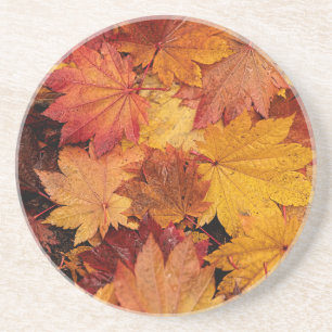 GOLDEN LEAVES OF AUTUMN COASTER