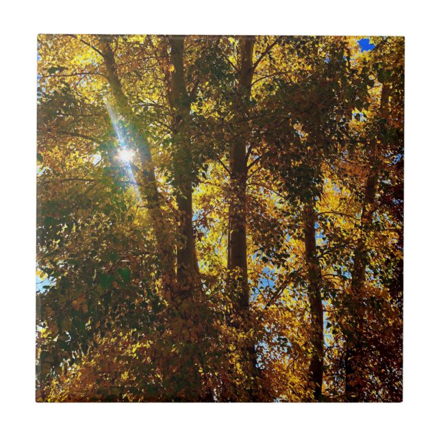 Golden Light Ceramic Tile (Front)