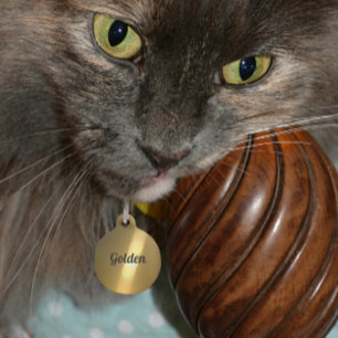 Golden Light Refraction Personalized Bronxe Pet Tag