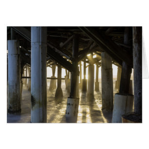 Golden Light Shines Through