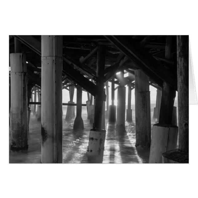 Golden Light Shines Through Grayscale (Front Horizontal)