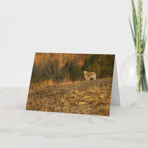 Golden Light Sympathy Card