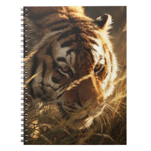 Golden Light Tiger Stalking Grass Art Notebook (Front)