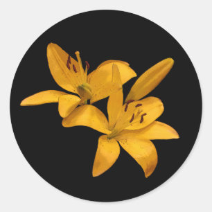 Golden Lilies Classic Round Sticker