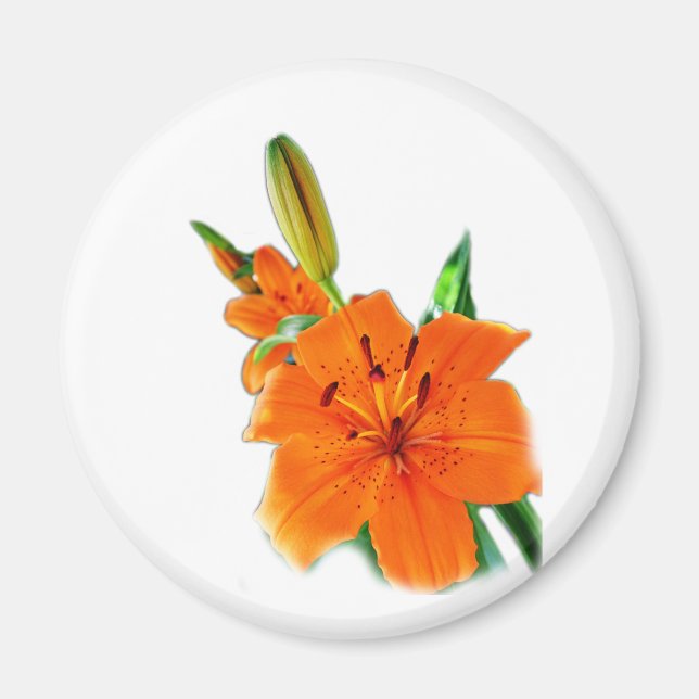 golden lily flowers magnet (Front)