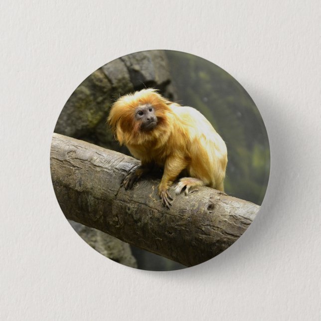 Golden Lion Tamarin 6 Cm Round Badge (Front)
