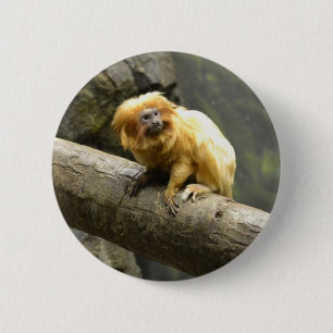 Golden Lion Tamarin 6 Cm Round Badge