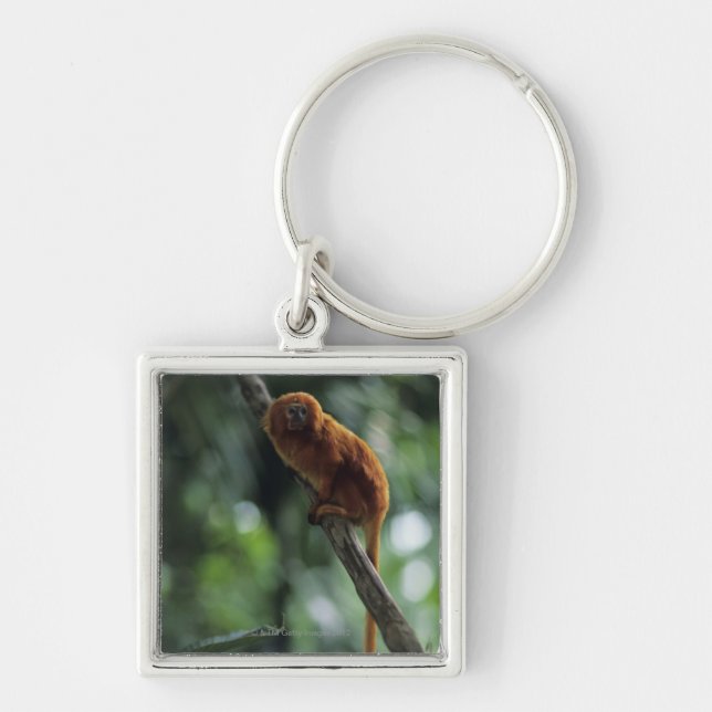 Golden lion tamarin (Leontopithecus rosalia) Key Ring (Front)