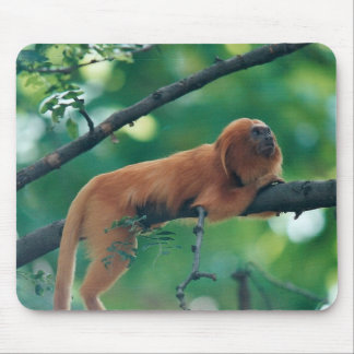 GOLDEN LION TAMARIN MONKEY MARMOSET MOUSE PAD