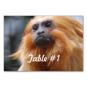 Golden Lion Tamarin Monkey Table Number
