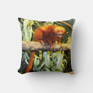 Golden Lion Tamarin Observing, Cushion