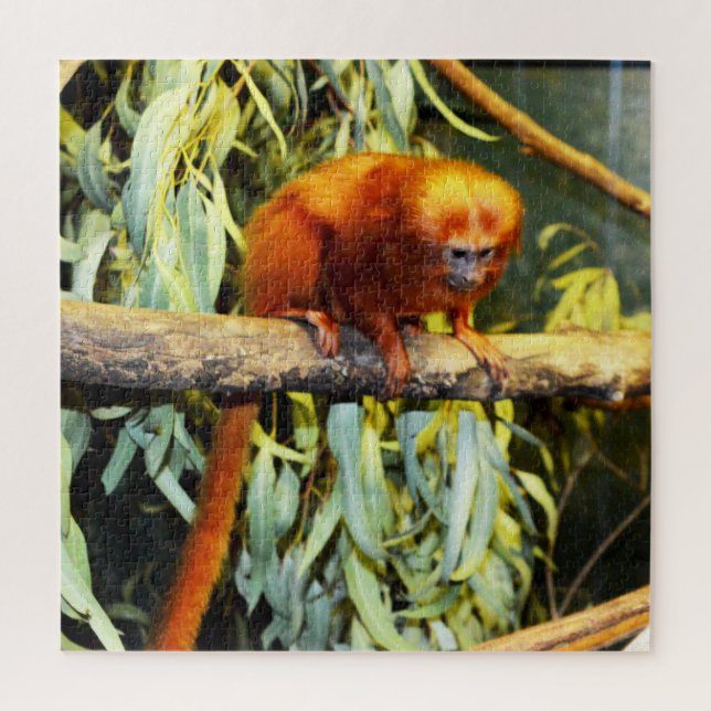 Golden Lion Tamarin Observing, Jigsaw Puzzle (Vertical)