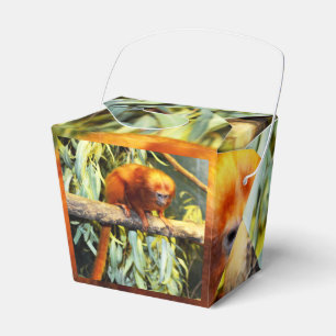 Golden Lion Tamarin, Party Favour Box