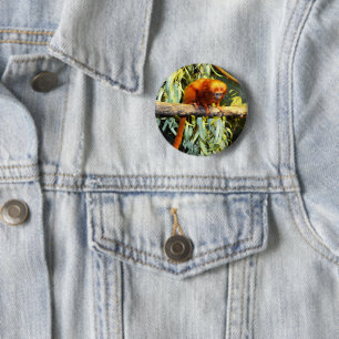 Golden Lion Tamarin Whats Up, Round Badge