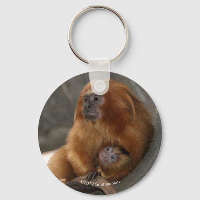 Golden Lion Tamarin with Baby 2 Key Ring (Front)