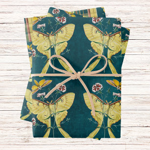 Golden Luna Moth with Flowers on Teal with Plaid Wrapping Paper Sheet