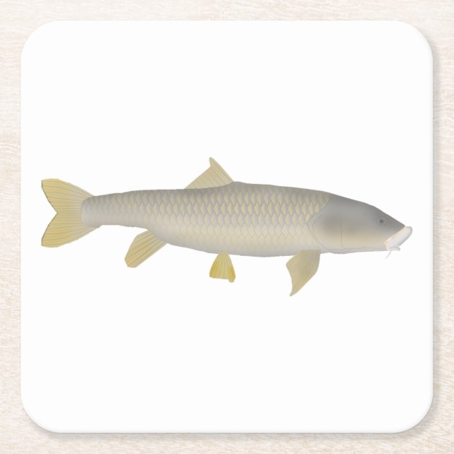 Golden Mahseer Square Paper Coaster (Front)