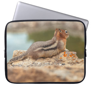 Golden Mantle Squirrel Laptop Sleeve