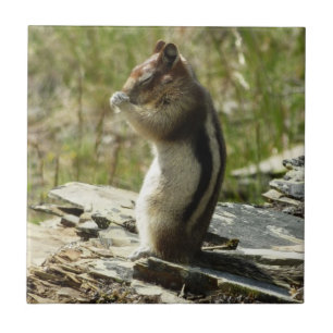 Golden-Mantled Ground Squirrel at Glacier I Ceramic Tile