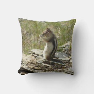 Golden-Mantled Ground Squirrel at Glacier I Cushion