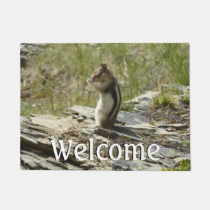 Golden-Mantled Ground Squirrel at Glacier I Doormat