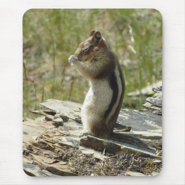 Golden-Mantled Ground Squirrel at Glacier I Mouse Pad (Front)