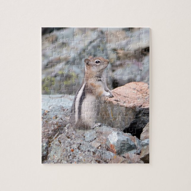 Golden-Mantled Ground Squirrel at Glacier II Jigsaw Puzzle (Vertical)