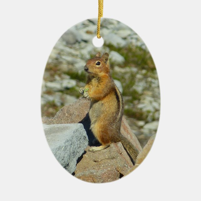 Golden-Mantled Ground Squirrel at Mount Rainier Ceramic Ornament (Front)