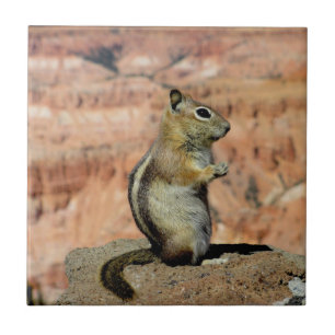 Golden Mantled Ground Squirrel Ceramic Tile