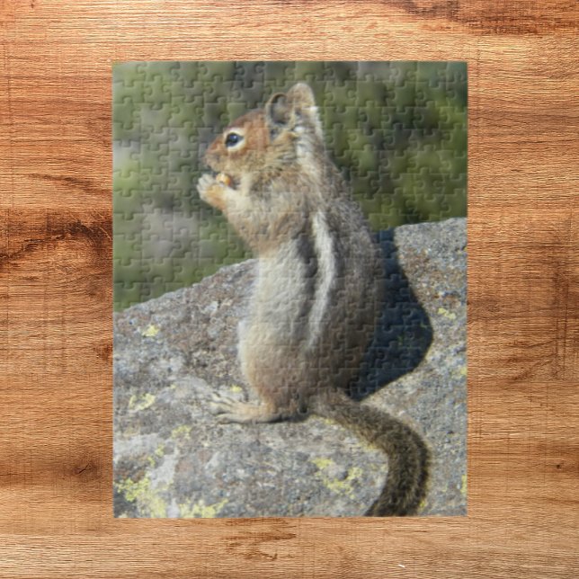 Golden Mantled Ground Squirrel Nature Jigsaw Puzzle (In Situ)