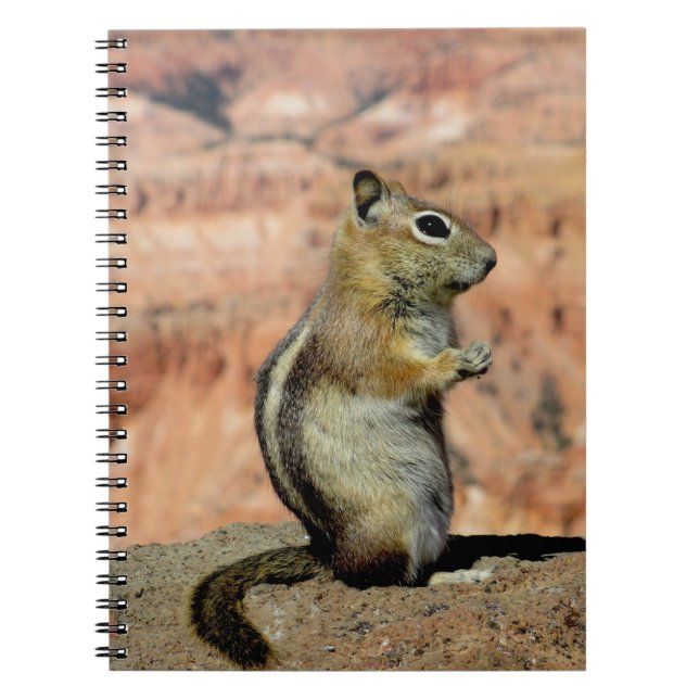 Golden Mantled Ground Squirrel Notebook (Front)