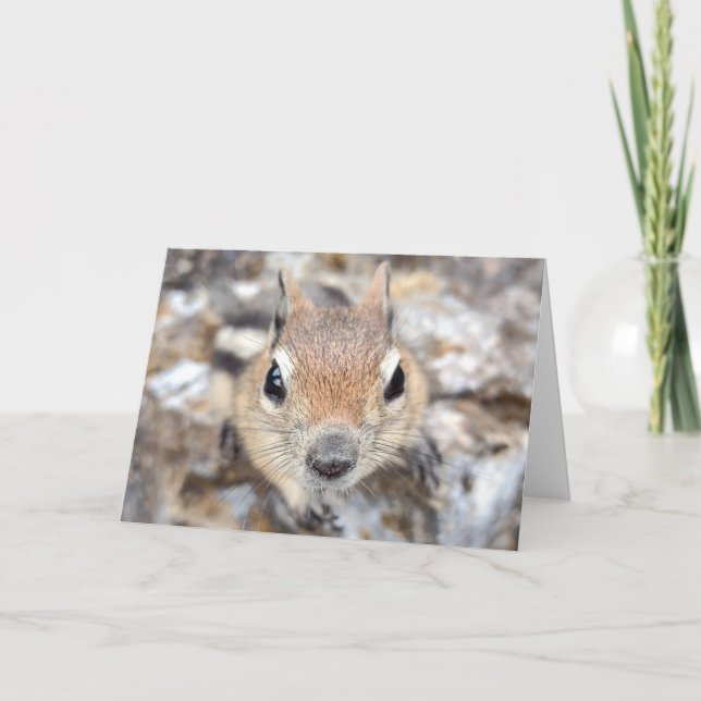 Golden Mantled Ground Squirrel Notecard (Front)