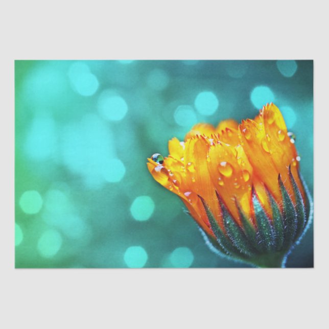 Golden Marigold on Teal Bokeh Tissue Paper (Front)
