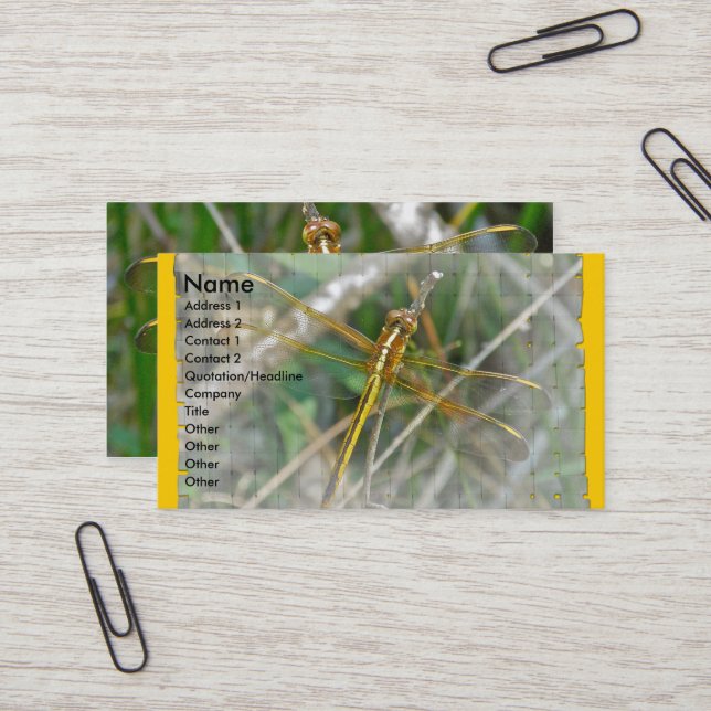 Golden Meadowhawk Dragonfly Business Card (Front/Back In Situ)