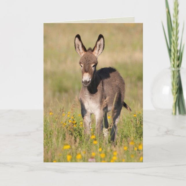 "Golden Meadows" -  Greeting Card (Front)