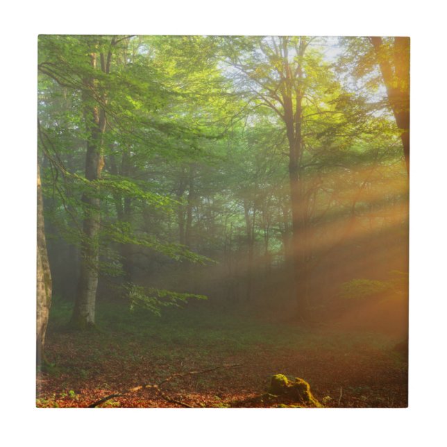 Golden Moment of Light Ceramic Tile (Front)