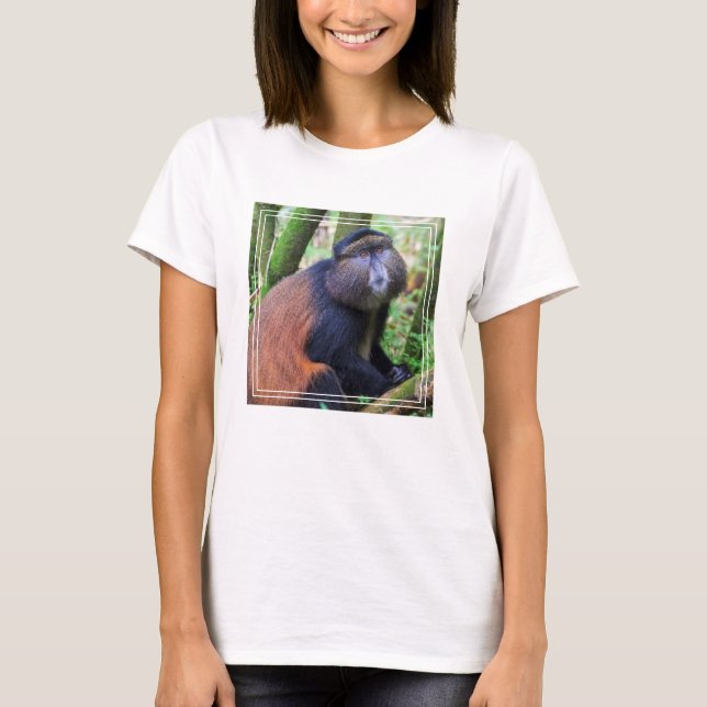 Golden Monkey, Rwanda T-Shirt (Front)