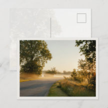 Golden Morning Mist Countryside Road