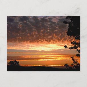 Golden Morning Postcard