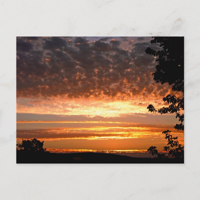 Golden Morning Postcard (Front)