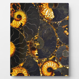 Golden Nautilus Plaque
