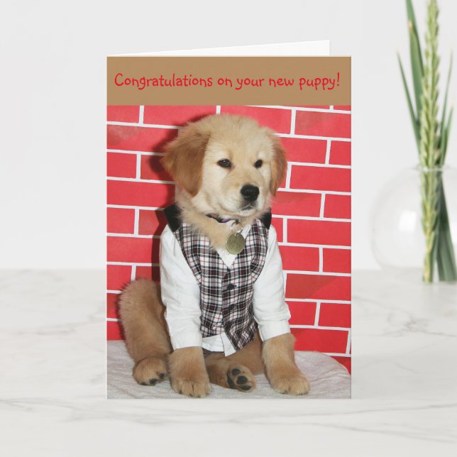 Golden New Puppy Card (Front)