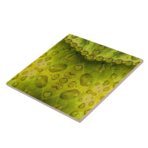 Golden Olive Envelope Tile